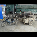  und keine zu schwer, um mit dem Moped transportiert zu werden